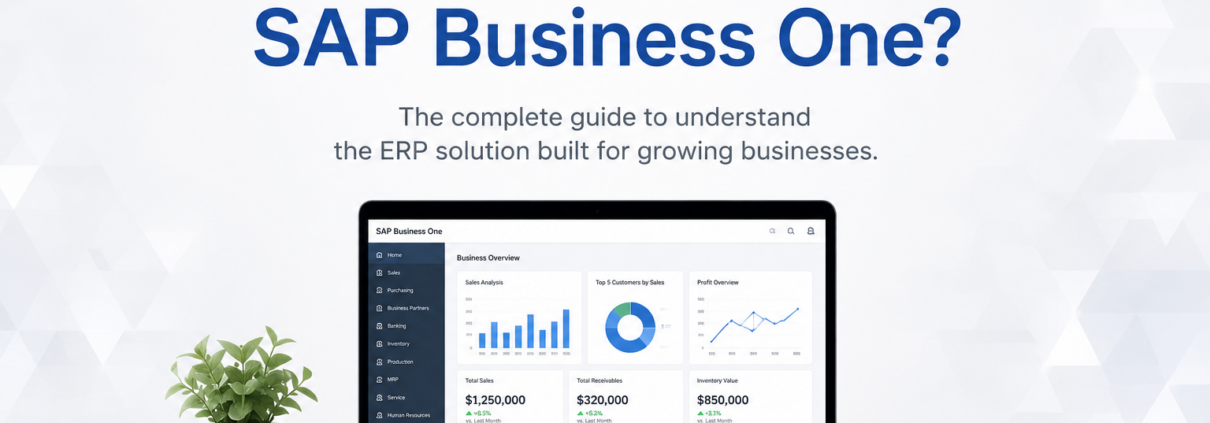 What is SAP Business One ERP solution for growing businesses