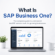What is SAP Business One ERP solution for growing businesses