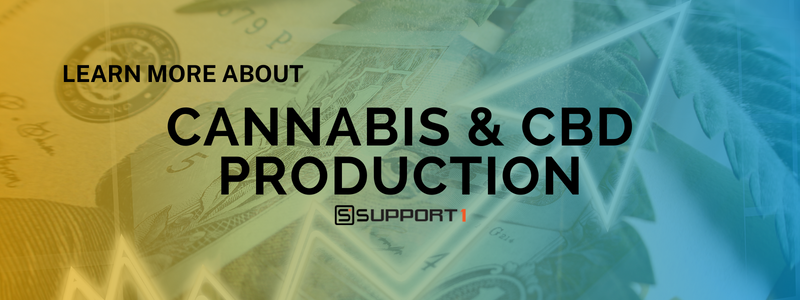 cannabis and cbd production