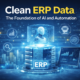 Clean ERP data powering AI and automation in SAP Business One with digital dashboard and data management visualization