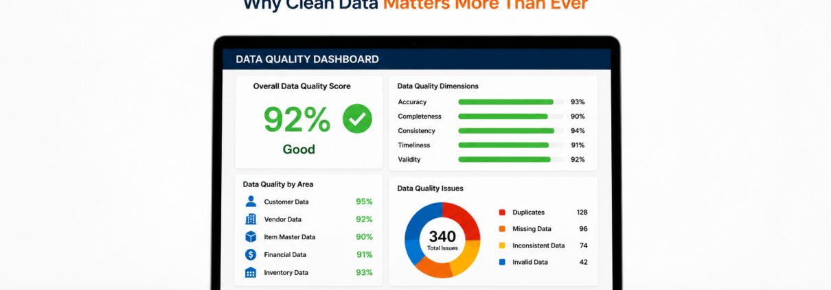 ERP Data Quality