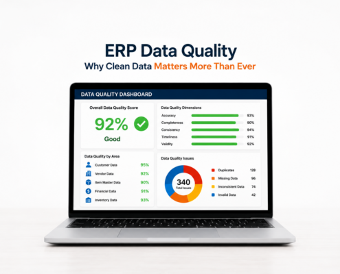 ERP Data Quality
