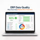 ERP Data Quality