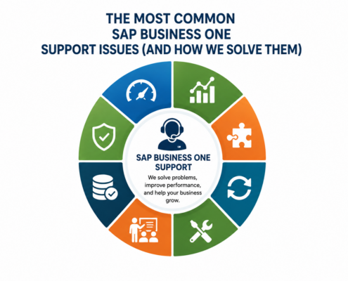 The Most Common SAP Business One Support Issues