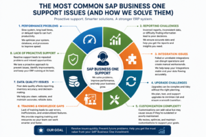 The Most Common SAP Business One issues